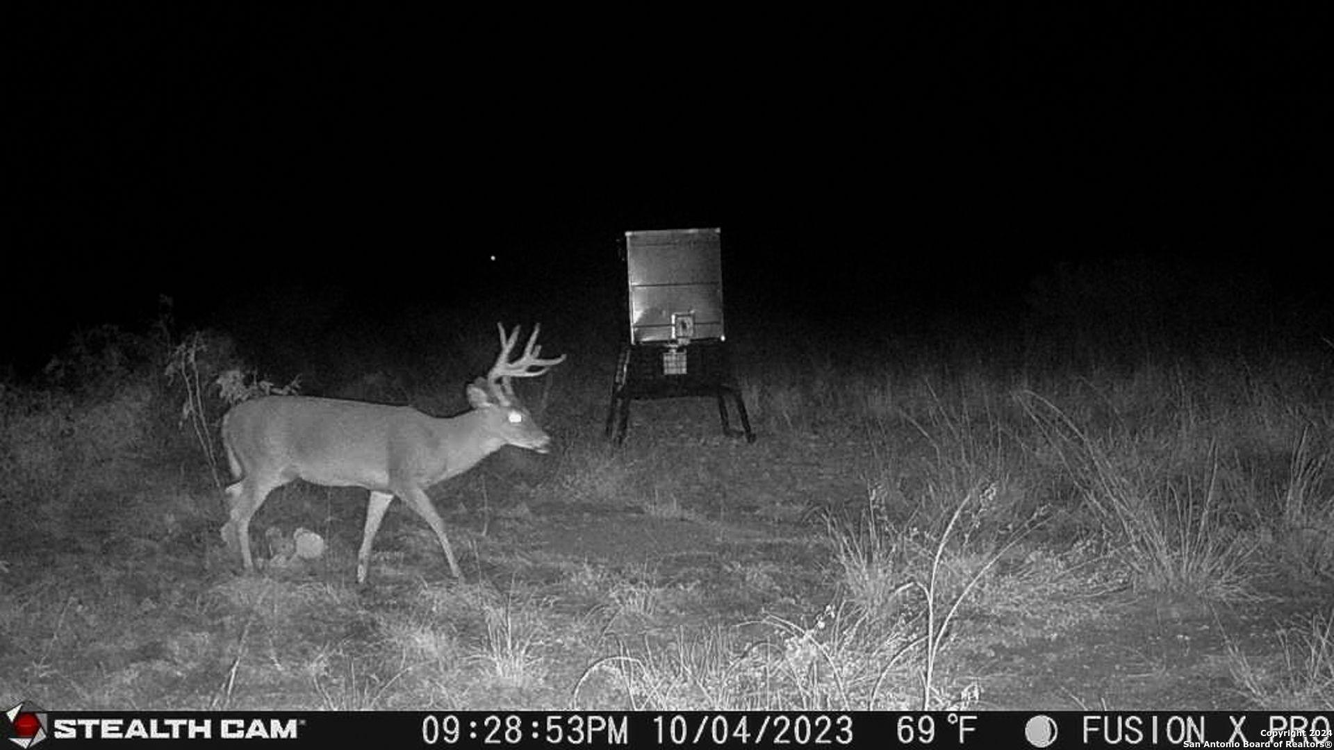 0 Kincaid Road Ozona, TX 76943 - Photo 29 of 41