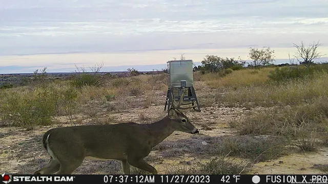 $2,750,000 | 0 Kincaid Road, Ozona, TX 76943