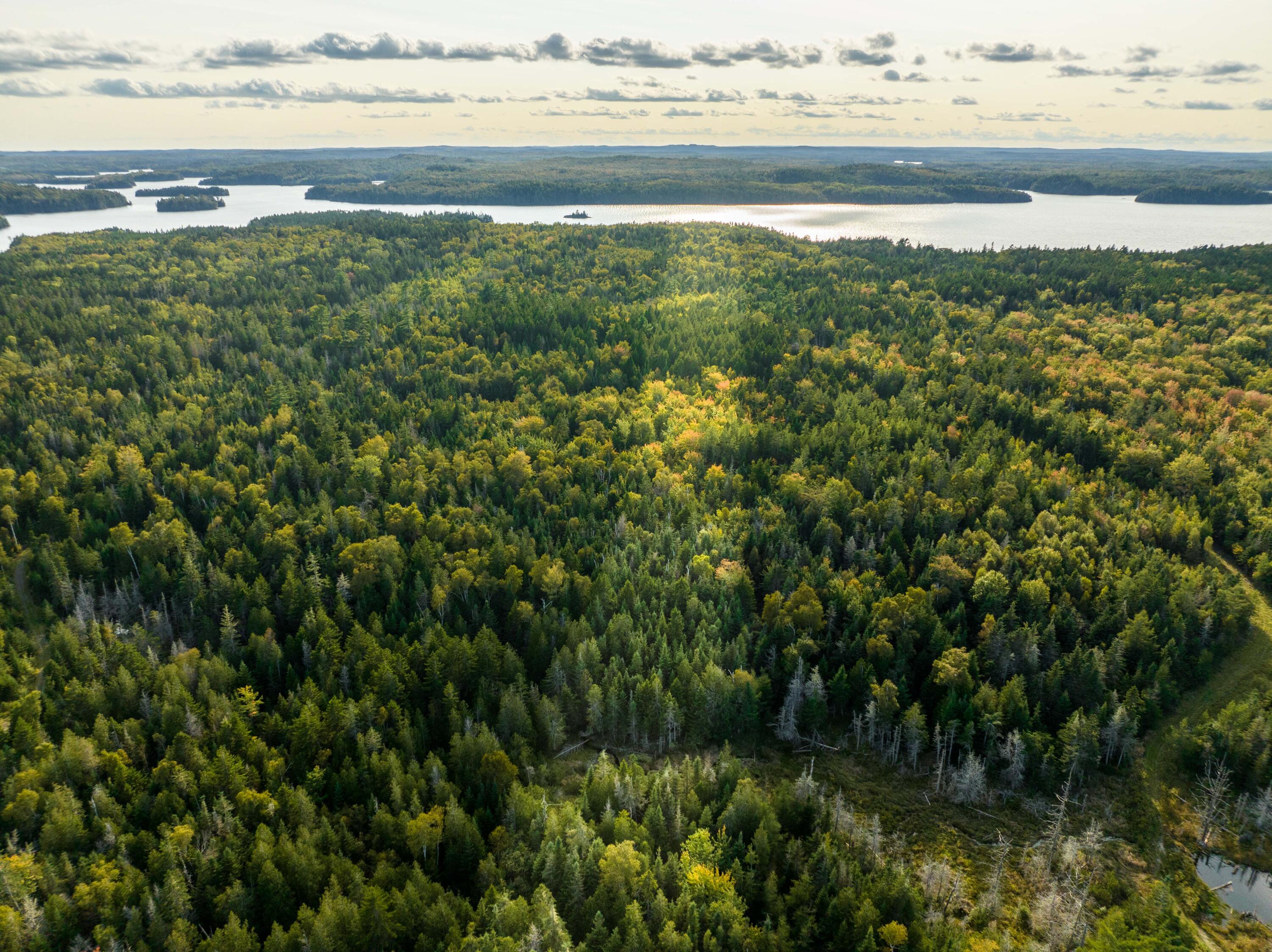 450 North Lubec Road Lubec, ME 04652 - Photo 3 of 36 450 North Lubec Rd. (35 of 41)