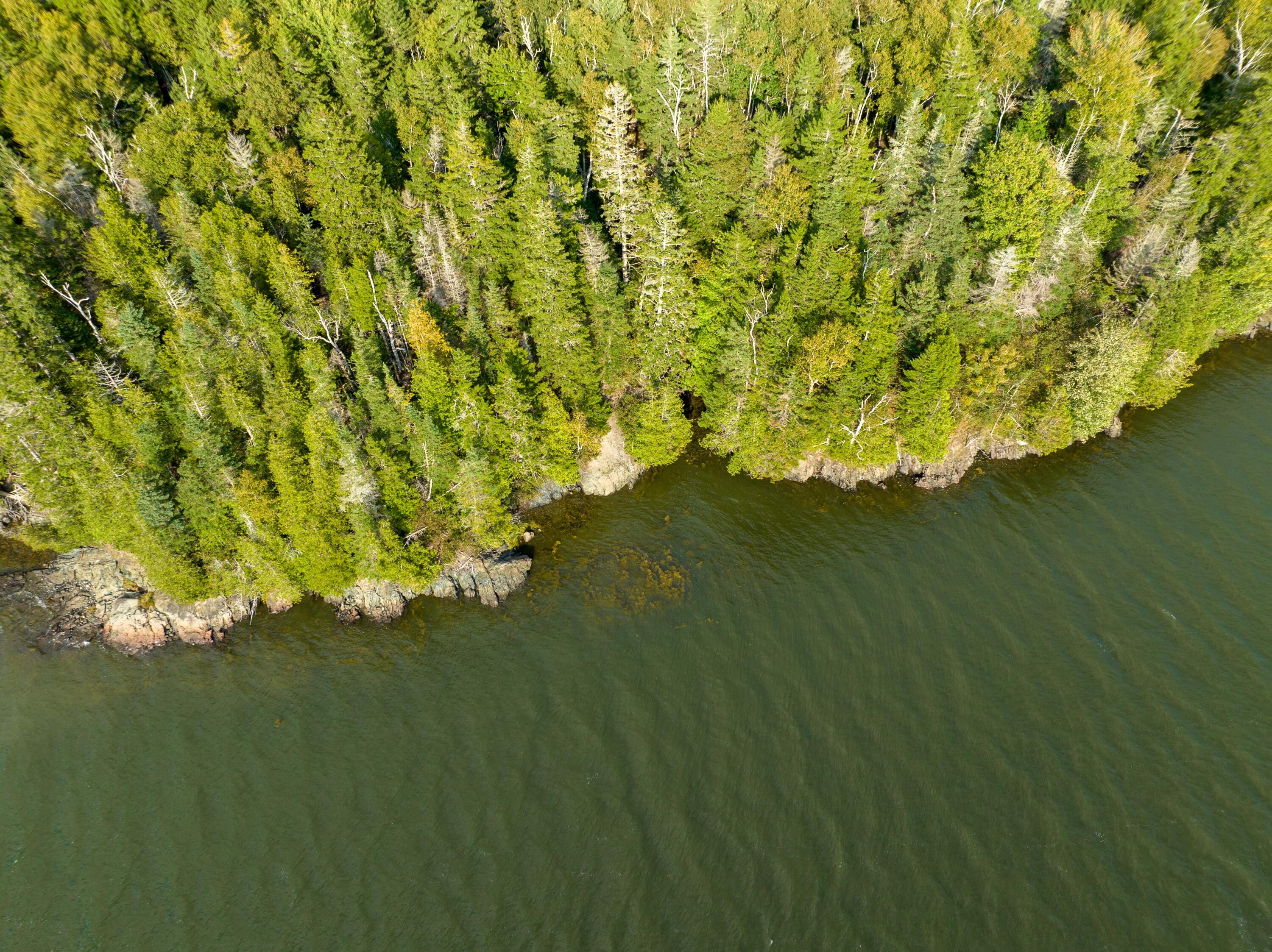 450 North Lubec Road Lubec, ME 04652 - Photo 31 of 36 450 North Lubec Rd. (23 of 41)