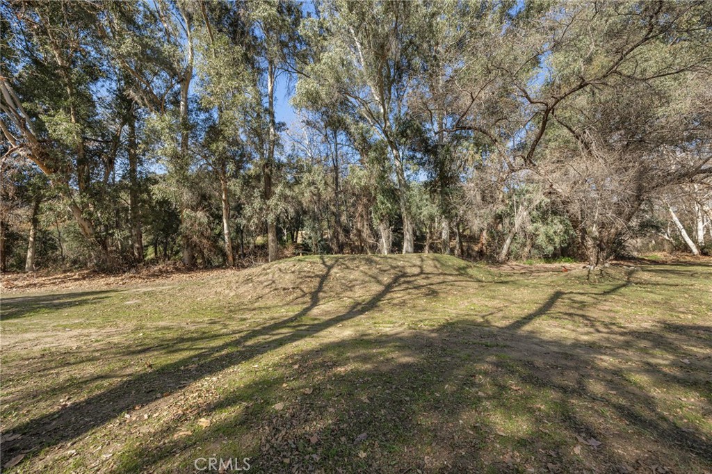 48980 De Luz Road Temecula, CA 92590 - Photo 18 of 50 a view of yard and covered with trees