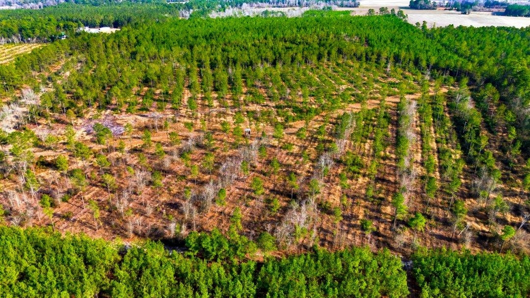 45 Loris Sc 29569 Loris, SC 29569 - Photo 11 of 23