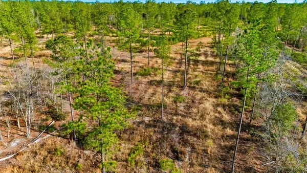 $2,999,000 | 45 Loris Sc 29569, Loris, SC 29569