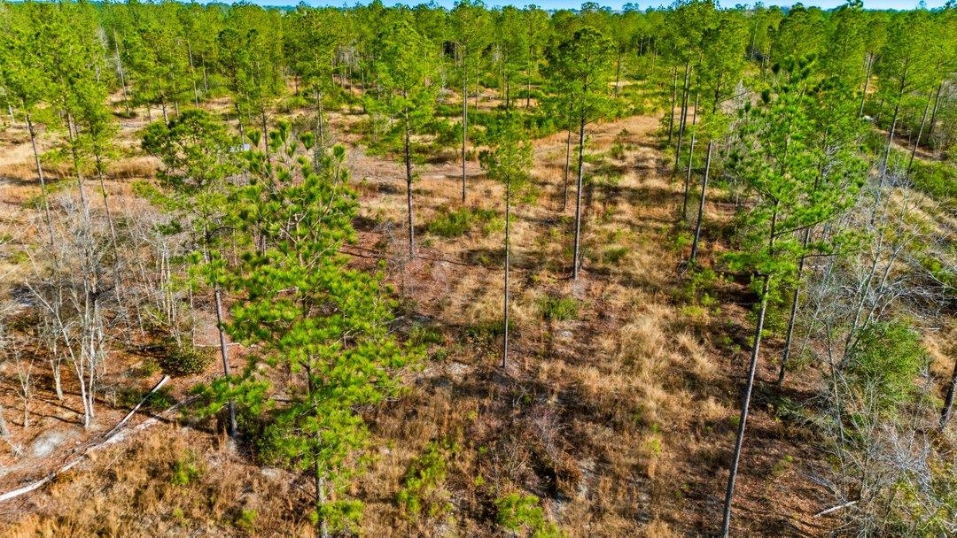 45 Loris Sc 29569 Loris, SC 29569 - Photo 12 of 23