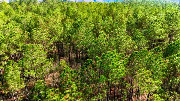 $2,999,000 | 45 Loris Sc 29569, Loris, SC 29569