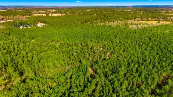 $2,999,000 | 45 Loris Sc 29569, Loris, SC 29569