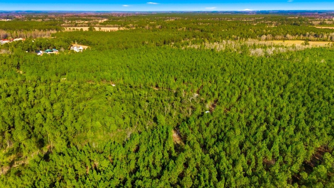 45 Loris Sc 29569 Loris, SC 29569 - Photo 15 of 23