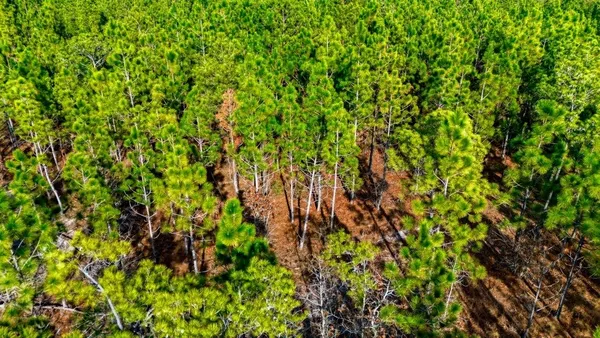 $2,999,000 | 45 Loris Sc 29569, Loris, SC 29569