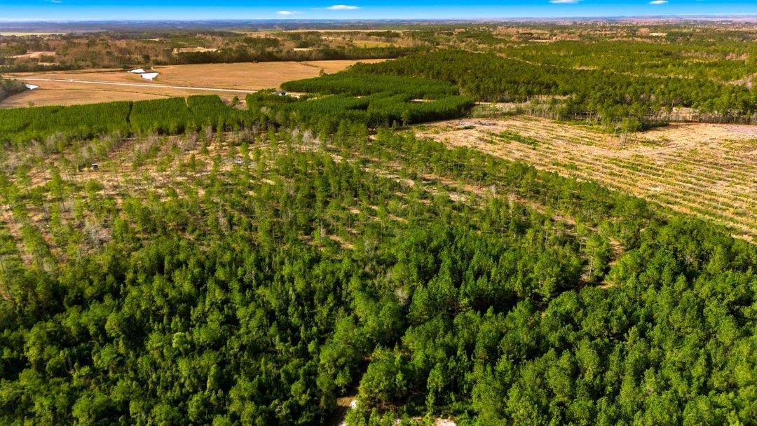 45 Loris Sc 29569 Loris, SC 29569 - Photo 17 of 23