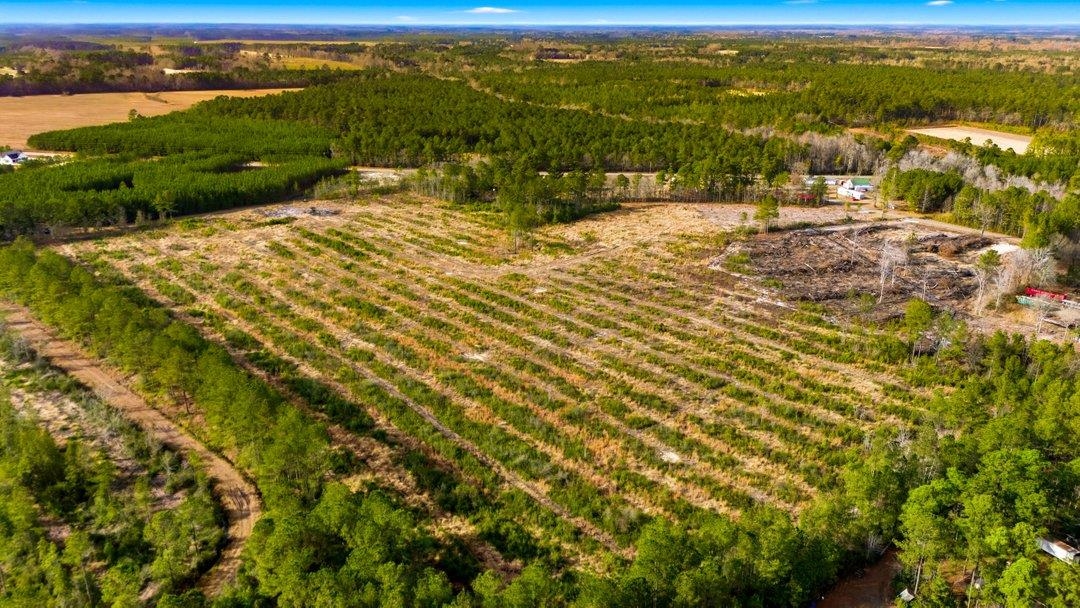 45 Loris Sc 29569 Loris, SC 29569 - Photo 18 of 23