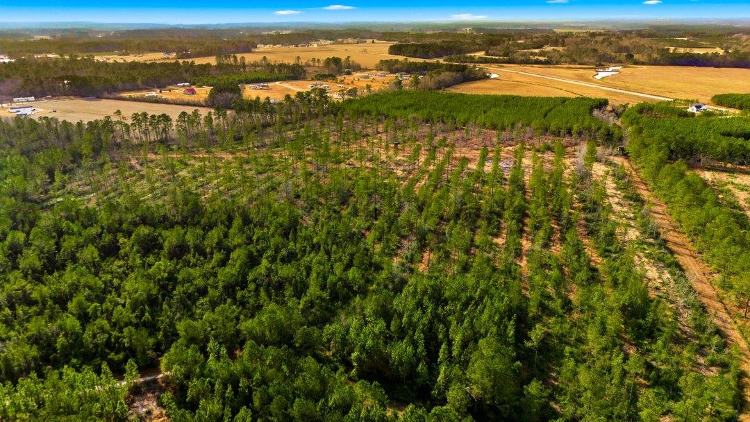 45 Loris Sc 29569 Loris, SC 29569 - Photo 19 of 23