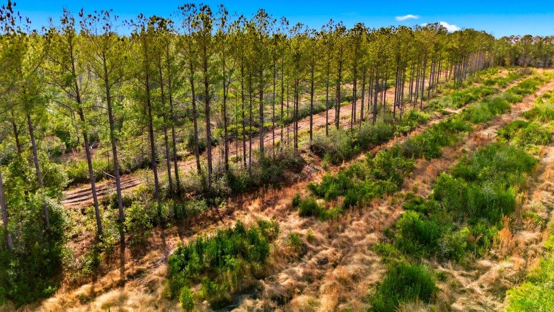 45 Loris Sc 29569 Loris, SC 29569 - Photo 21 of 23