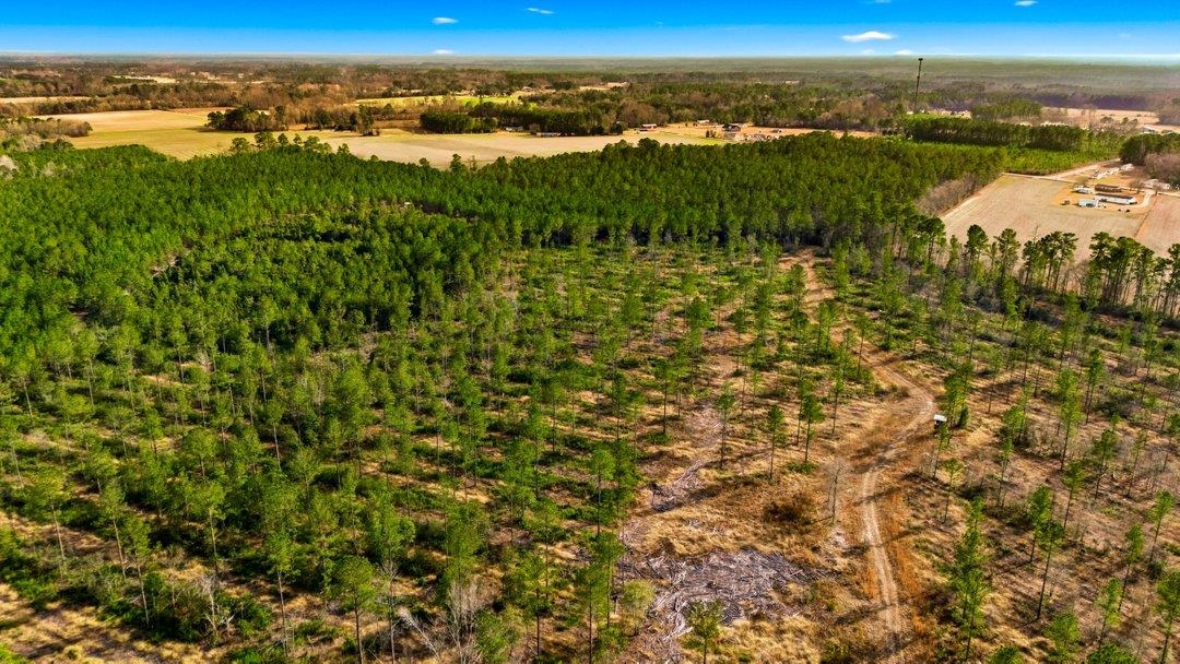 45 Loris Sc 29569 Loris, SC 29569 - Photo 3 of 23