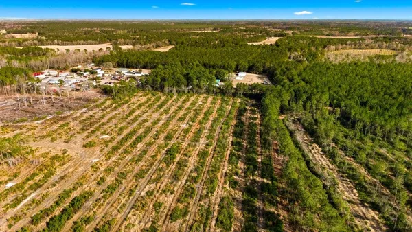 $2,999,000 | 45 Loris Sc 29569, Loris, SC 29569