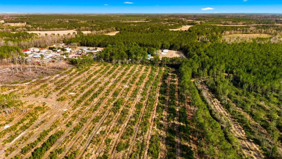 45 Loris Sc 29569 Loris, SC 29569 - Photo 4 of 23