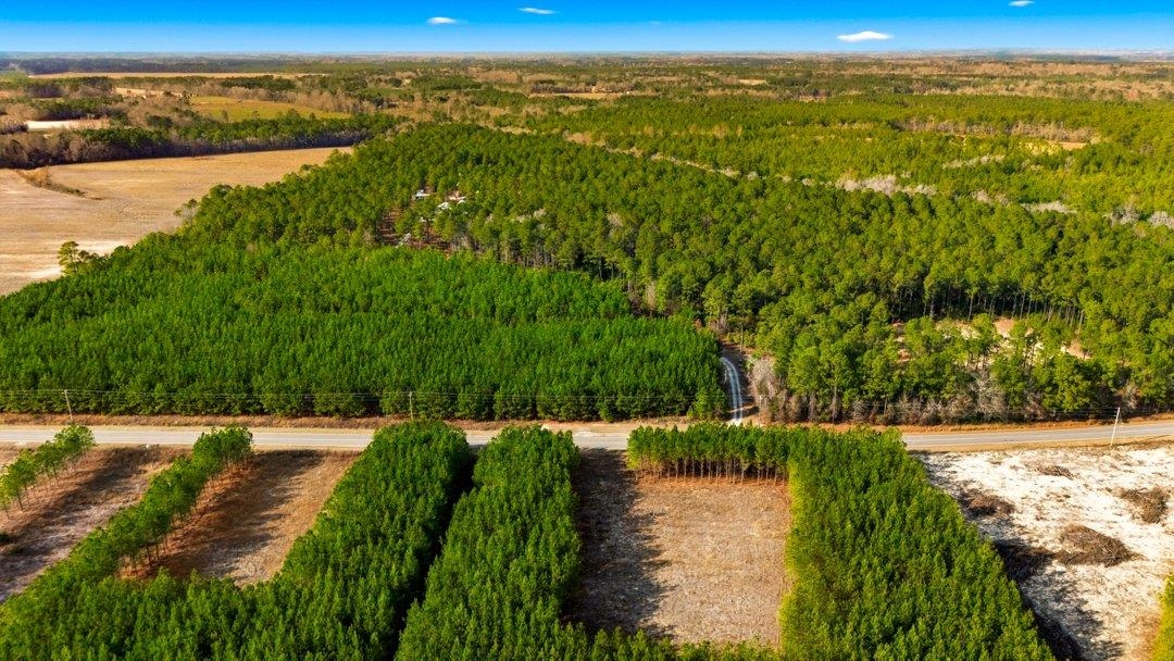 45 Loris Sc 29569 Loris, SC 29569 - Photo 6 of 23