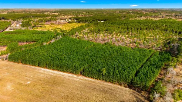 $2,999,000 | 45 Loris Sc 29569, Loris, SC 29569