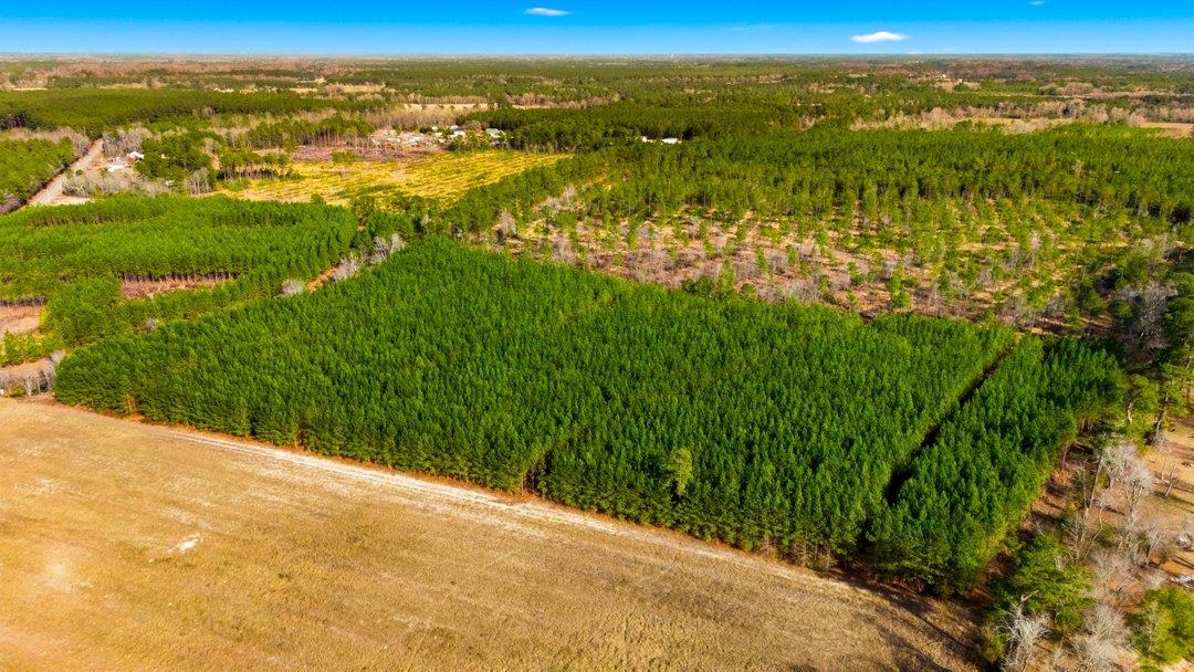 45 Loris Sc 29569 Loris, SC 29569 - Photo 8 of 23