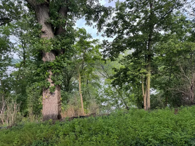 $285,000 | 1004 South Ramsey Street, Redwood Falls, MN 56283