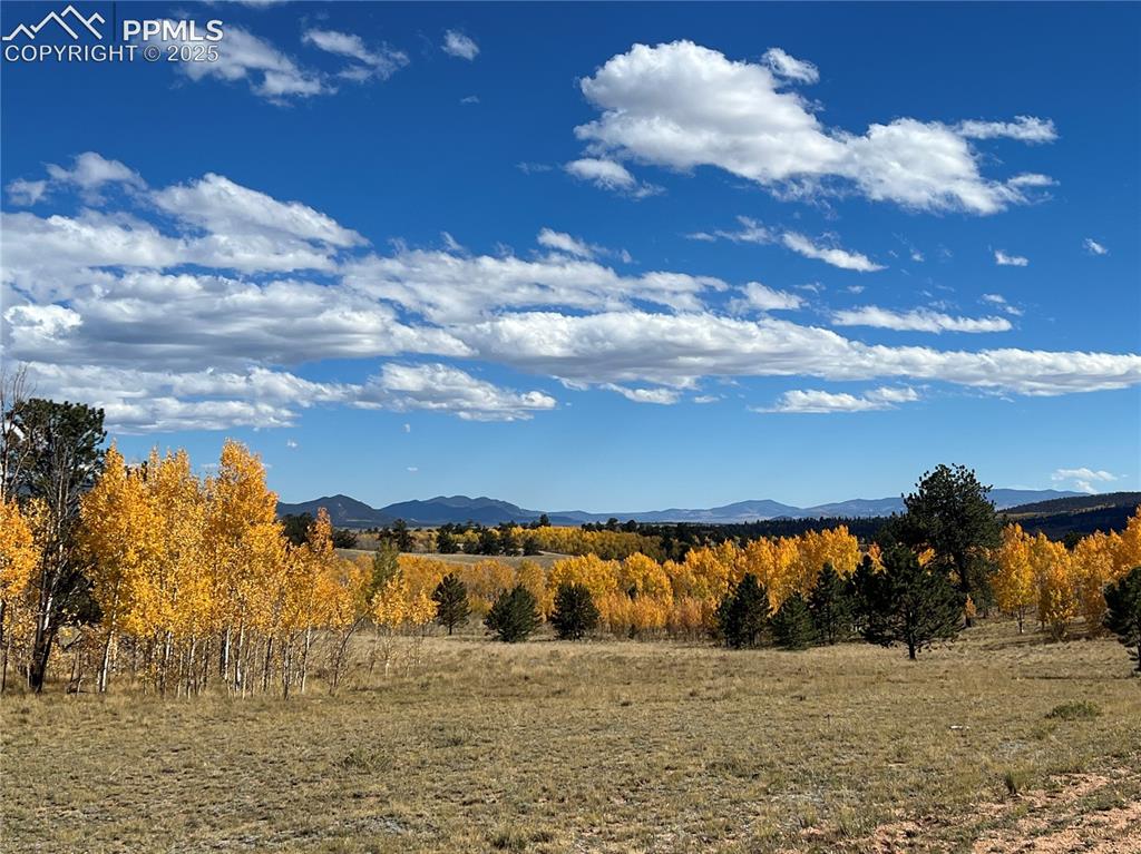 2387 Buffalo Ridge Road Como, CO 80456 - Photo 35 of 50