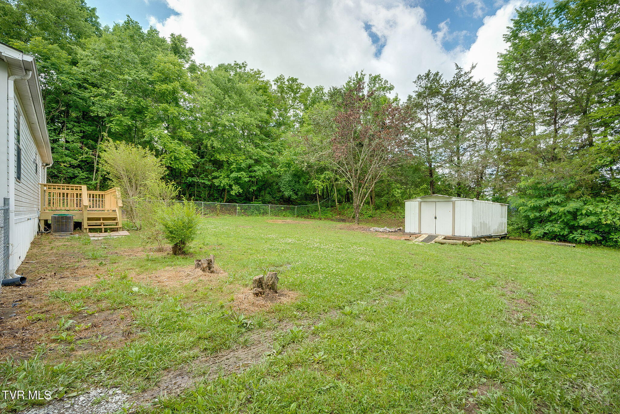 229 Alpine Loop Mosheim, TN 37818 - Photo 29 of 38 021
