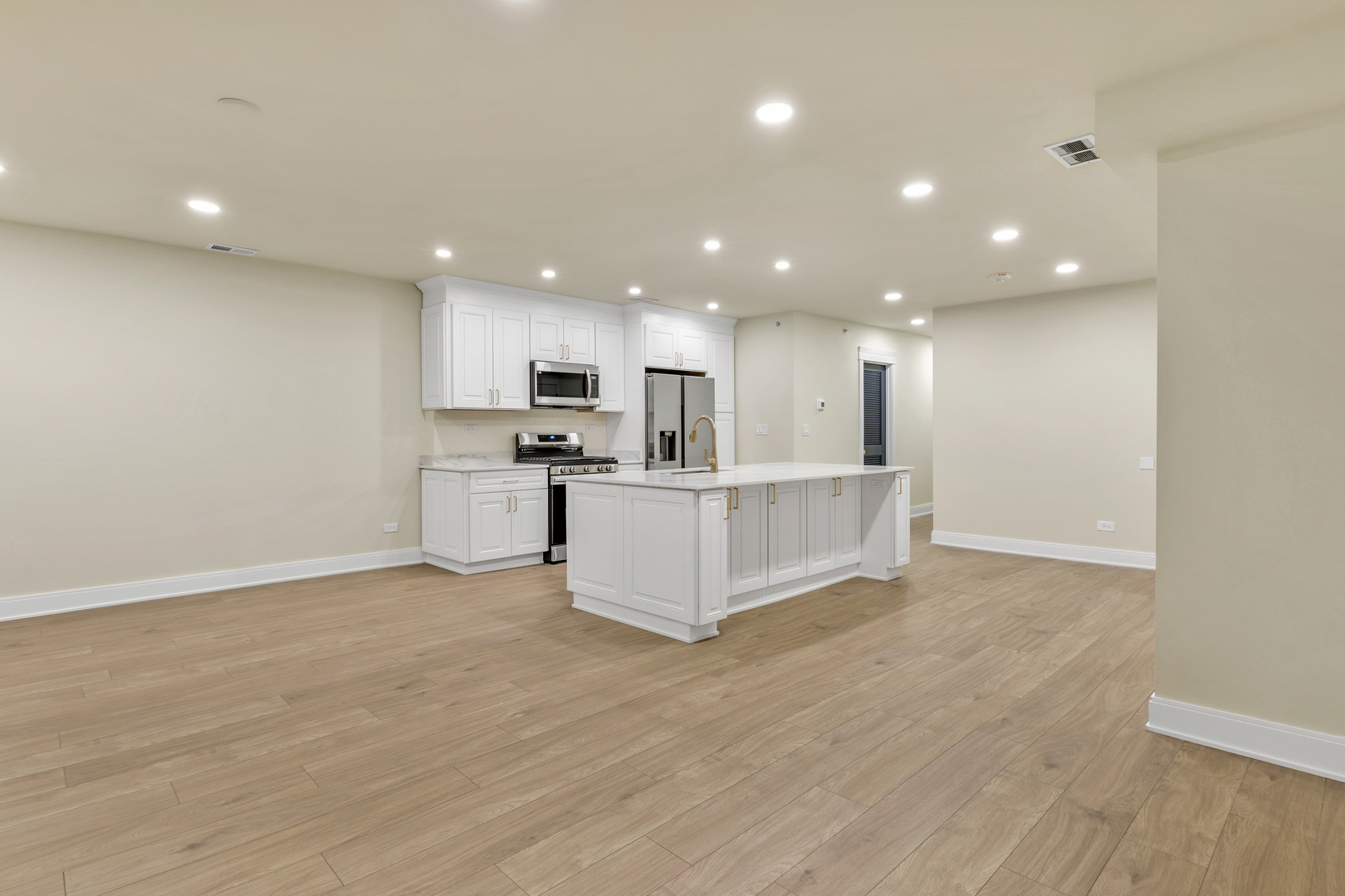 317 Canal Street, Unit B Lemont, IL 60439 - Photo 3 of 15 a view of kitchen with kitchen island granite countertop a large counter top and stainless steel appliances