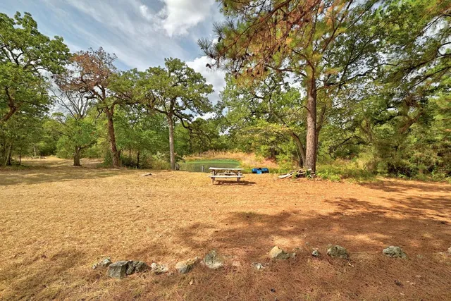 a view of yard with trees