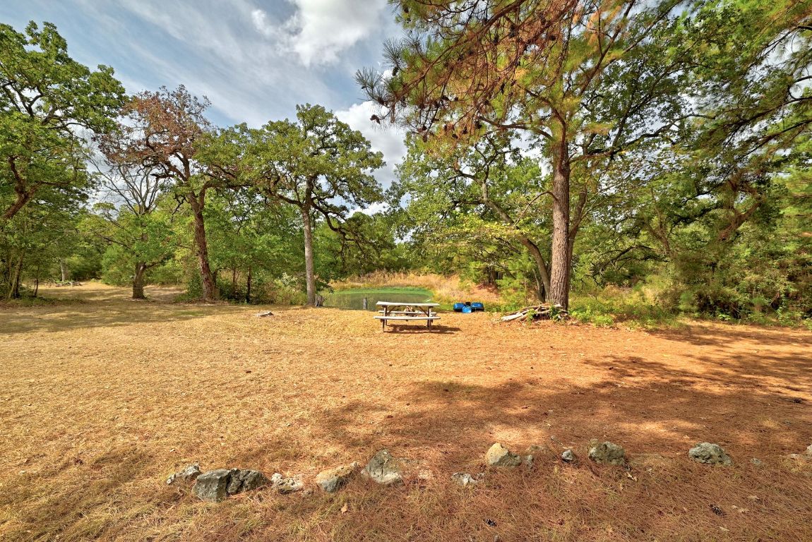 235 Antioch Road Paige, TX 78659 - Photo 31 of 40 a view of yard with trees