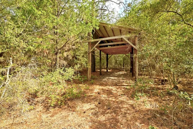 a view of a bench in a backyard
