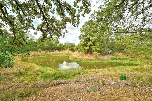 a view of lake with green space