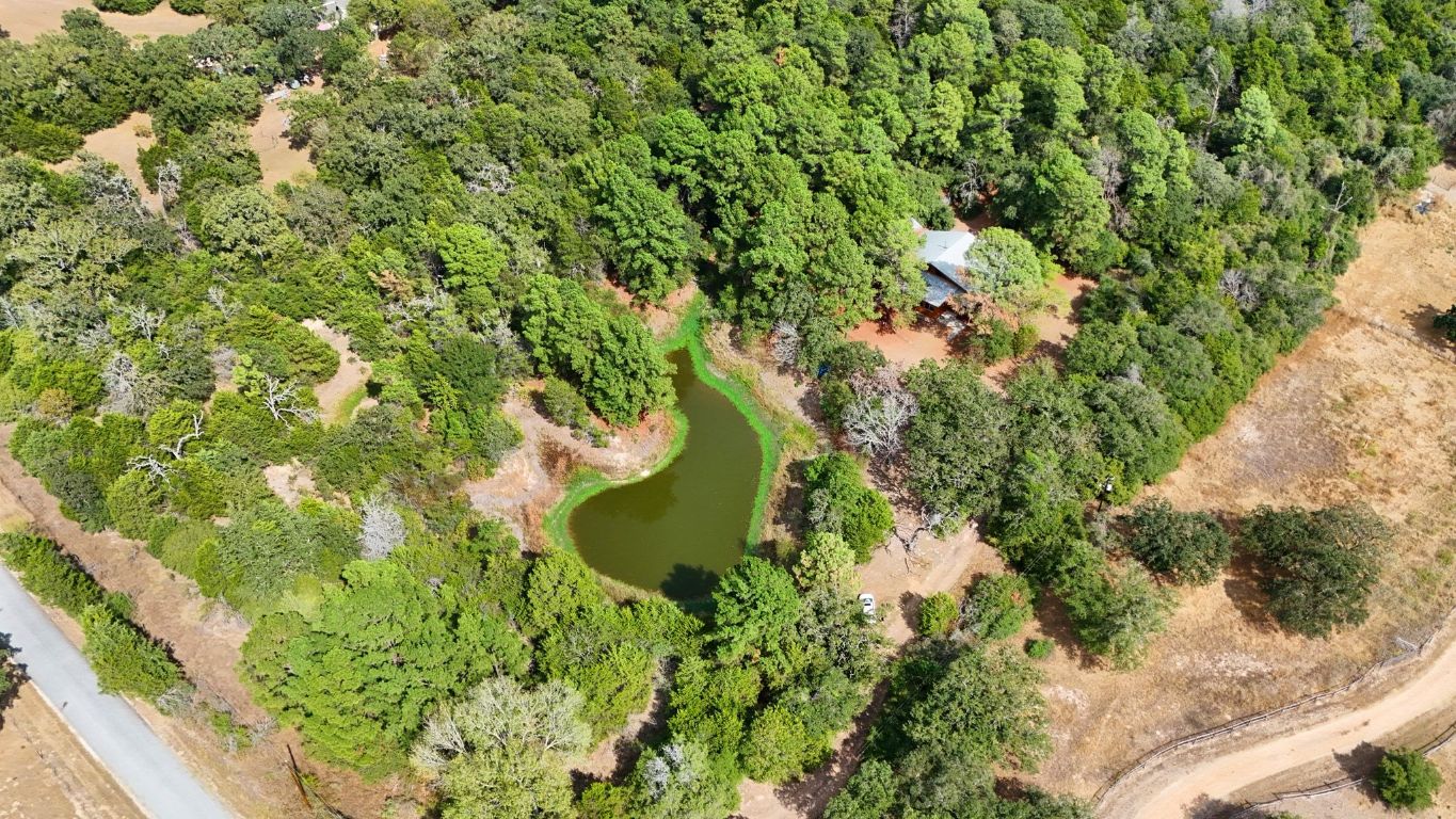 235 Antioch Road Paige, TX 78659 - Photo 35 of 40 a view of a garden