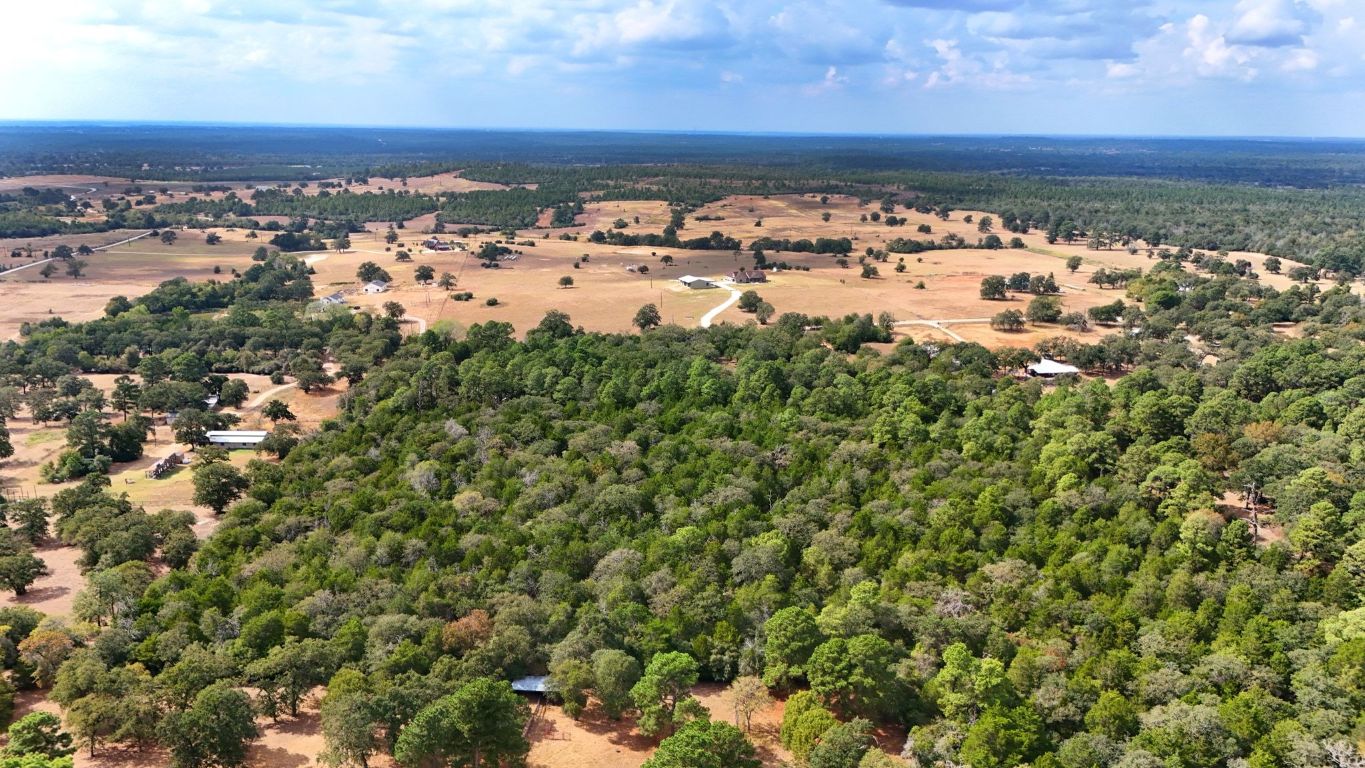 235 Antioch Road Paige, TX 78659 - Photo 38 of 40 a view of a city