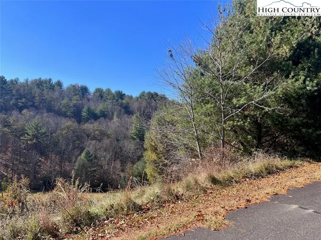 a view of dirt yard with a large tree