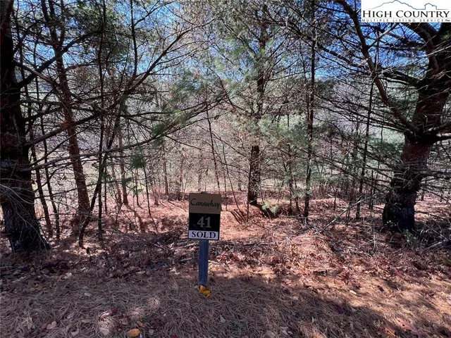 a view of a field with an ocean view