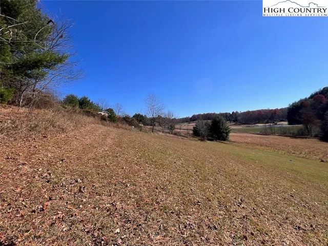 a view of outdoor space and a yard
