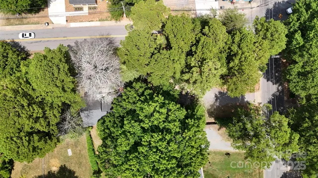 a view of a garden with plants