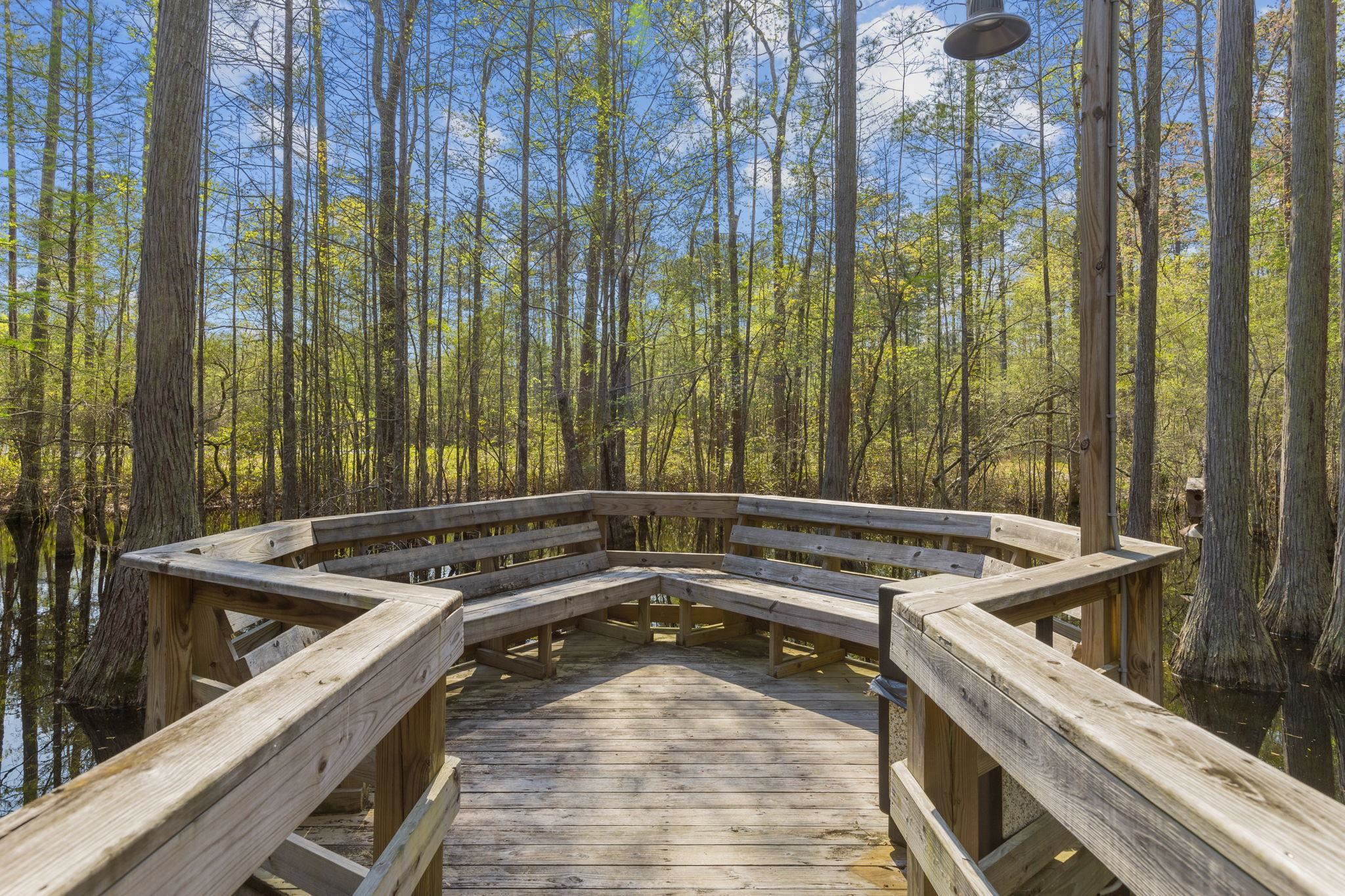 9060 Binnicker Drive Murrells Inlet, SC 29576 - Photo 88 of 94
