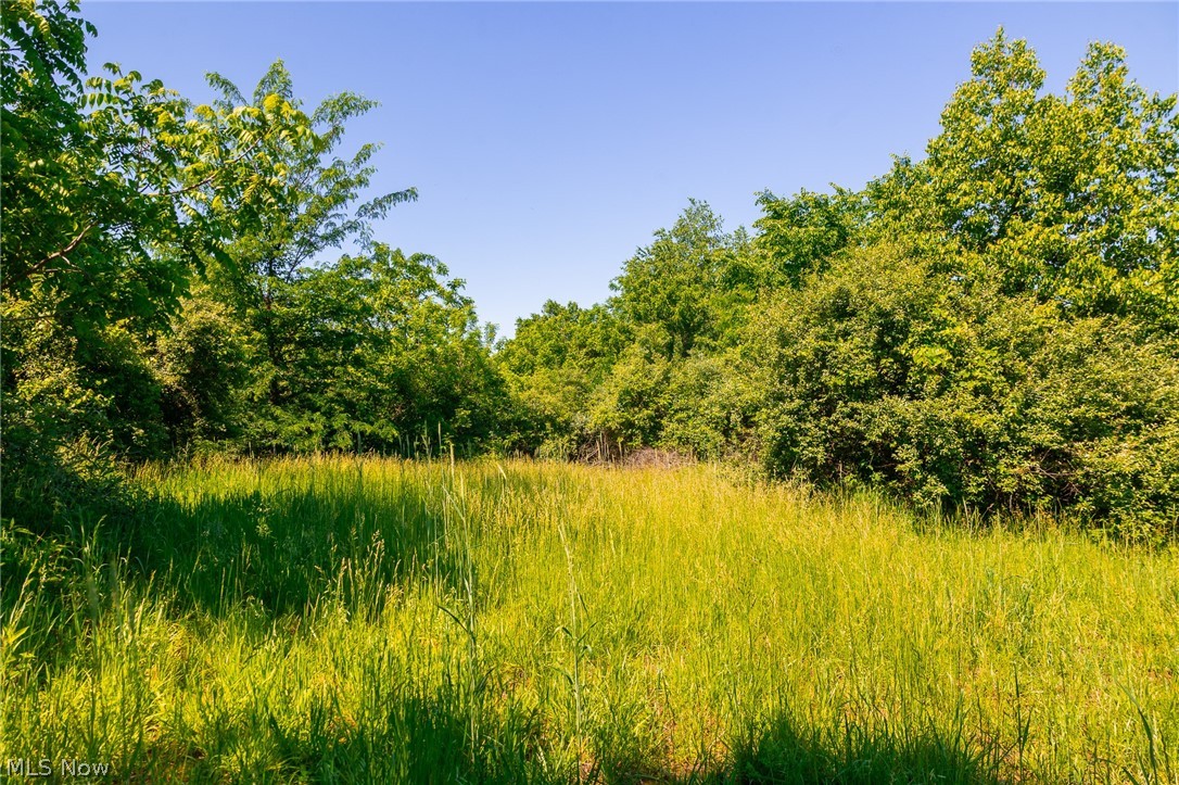 12680 Old Riley Road, Unit 3 Frazeysburg, OH 43822 - Photo 8 of 36