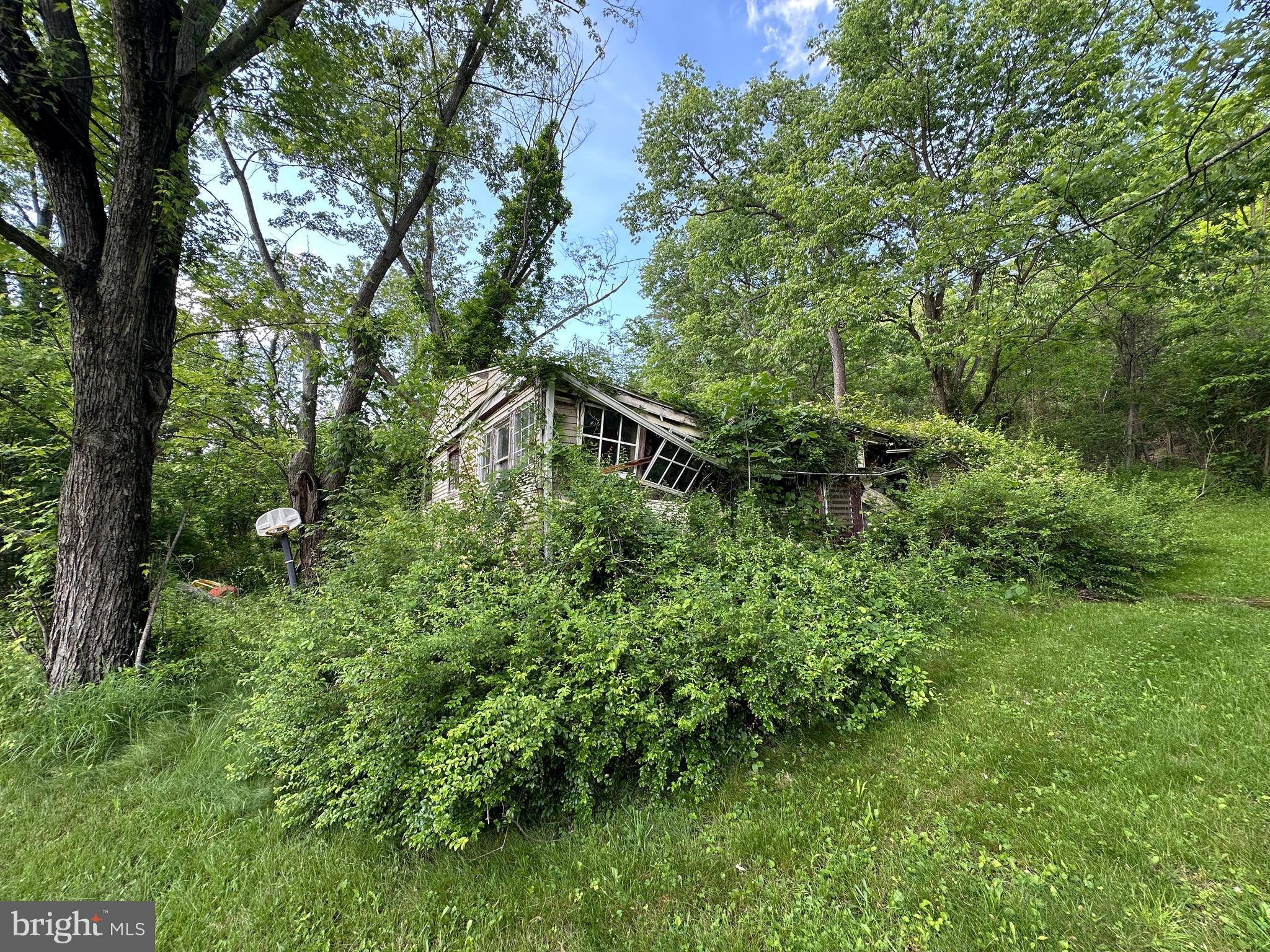 13726 Hopps Landing Road Hagerstown, MD 21740 - Photo 57 of 71 a backyard of a house with lots of green space