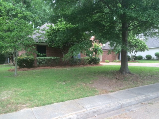 207 Deer Run Ridgeland, MS 39157 - Photo 3 of 16 Photo 3