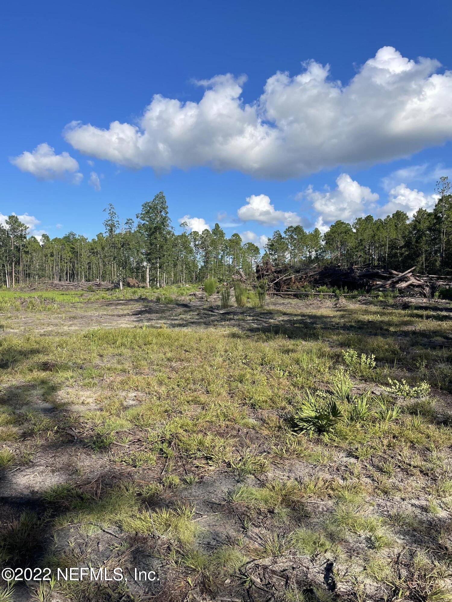 4420 Bondarenko Road Keystone Heights, FL 32656 - Photo 3 of 3 4420 Bondarenko Rd- 2