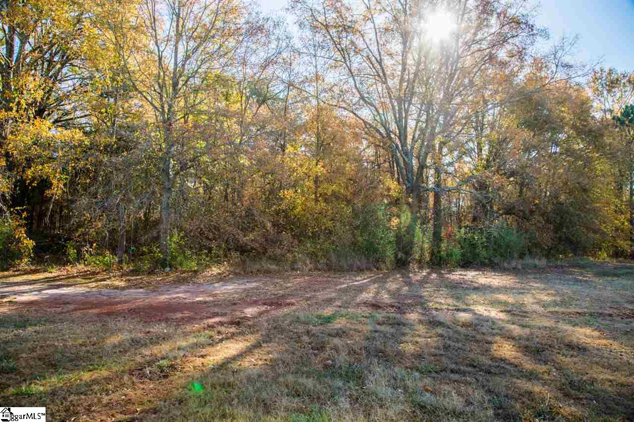 110 Wild Turkey Road Williamston, SC 29697 - Photo 8 of 24