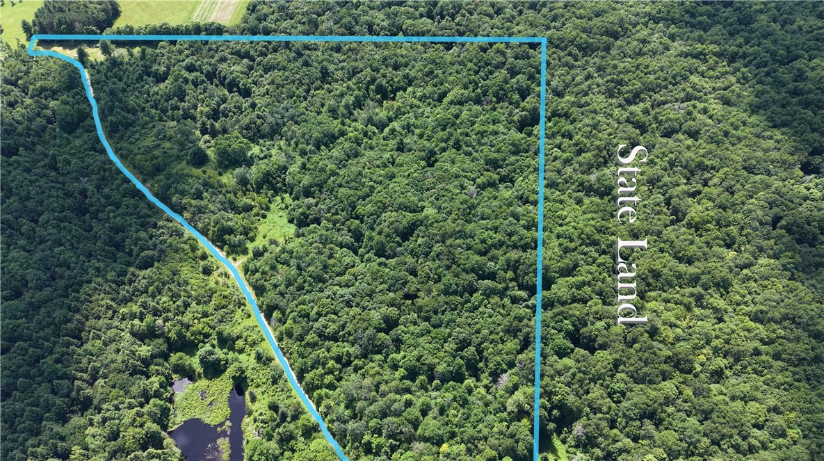 409 Cty Road Cincinnatus, NY 13040 - Photo 2 of 29