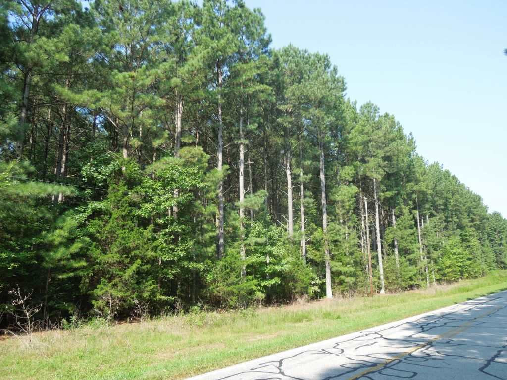 Weldon Road Louisburg, NC 27549 - Photo 13 of 15 Photo 13
