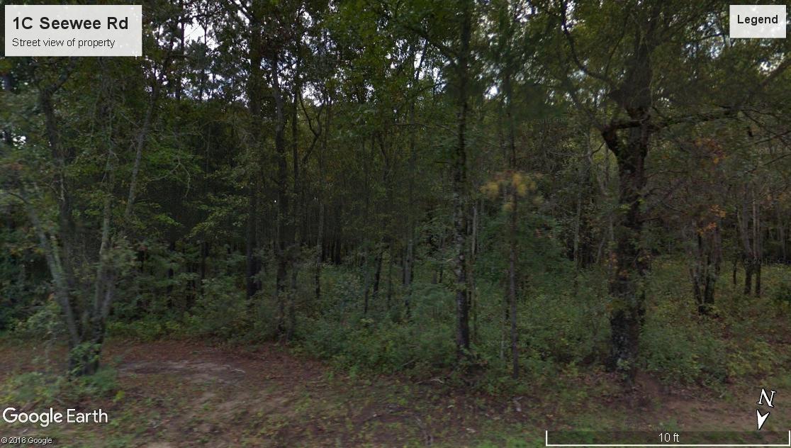 1 C Seewee Road Awendaw, SC 29429 - Photo 4 of 7 Street View (Seewee Road) 2