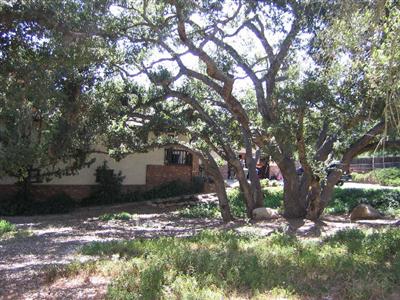 358 Sunset Court Oak View, CA 93022 - Photo 2 of 4 a backyard of a house with lots of green space