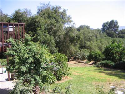 358 Sunset Court Oak View, CA 93022 - Photo 4 of 4 a view of outdoor space and yard