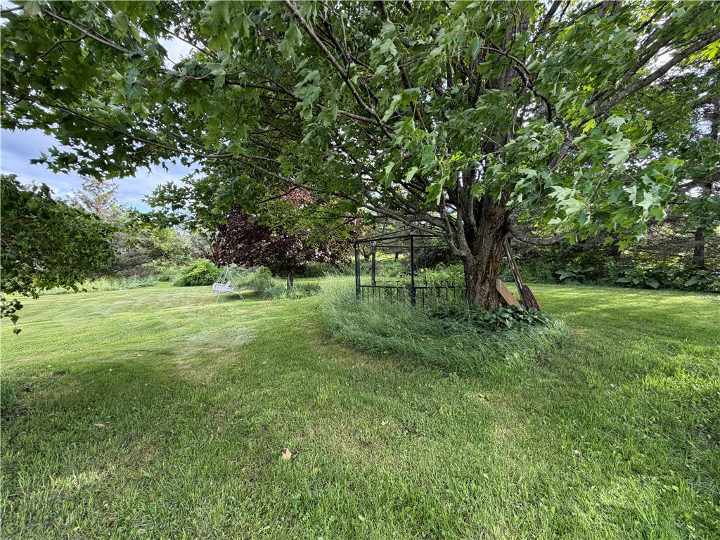 1211 Demunn Road Dix, NY 14812 - Photo 16 of 17 Mature Trees & Flowers