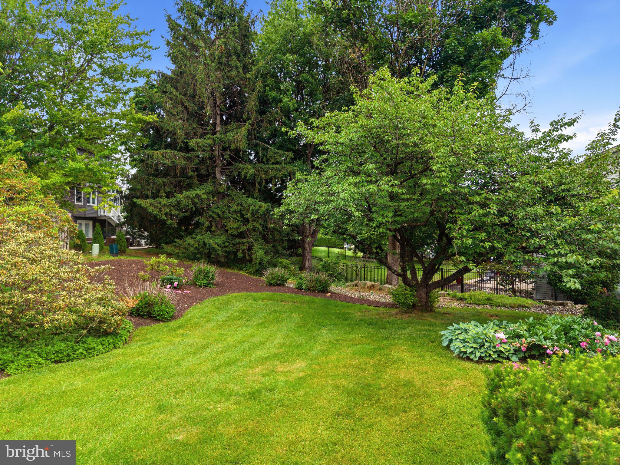 Lush greenery in a serene garden.