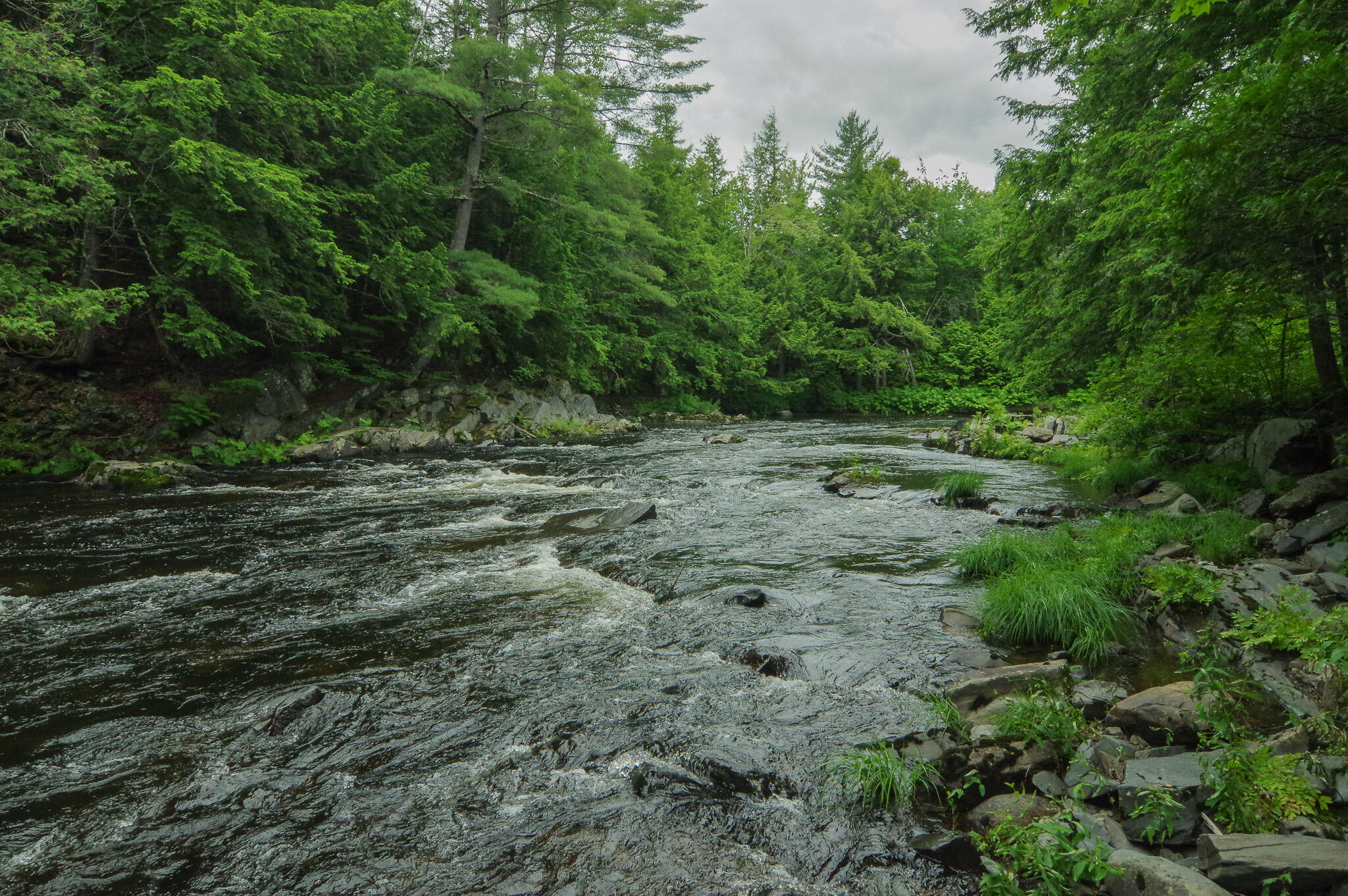 58 River Road Abbot, ME 04406 - Photo 91 of 114 IMGP0596